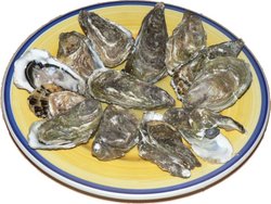 250px_Oysters_p1040741.jpg