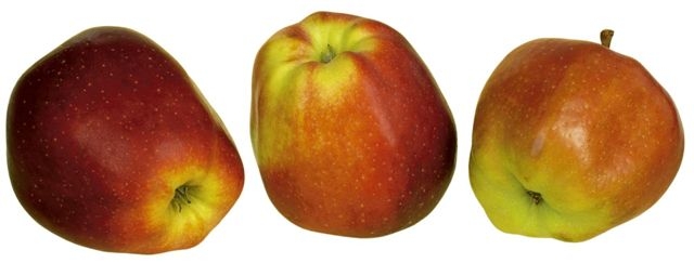 jablko 03