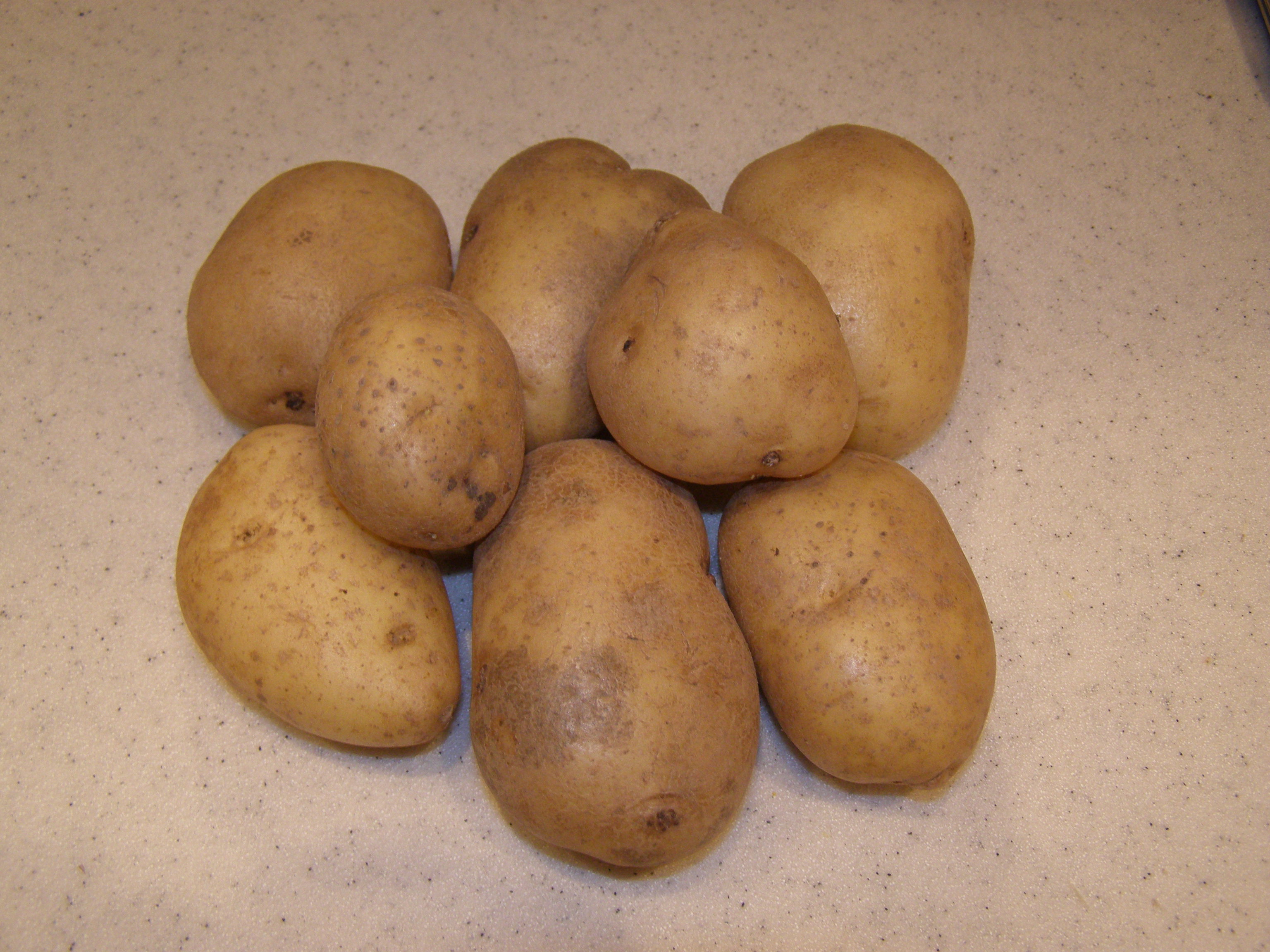 картофель журавинка фото