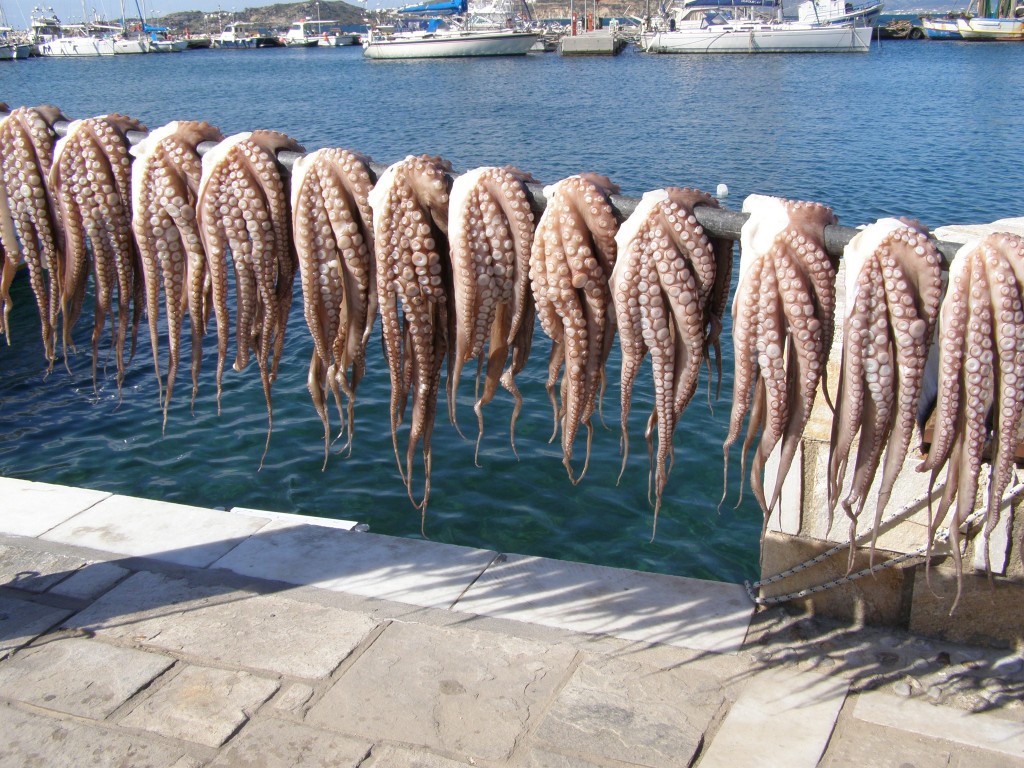 Ośmiornice wiszące na nabrzeżu portowym w Naxos. Fot. P. Adamczewski